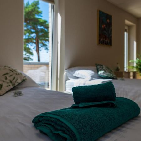 Joesuu Guesthouse Vaana-Joesuu Zewnętrze zdjęcie